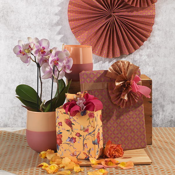 Packaging esempio 2