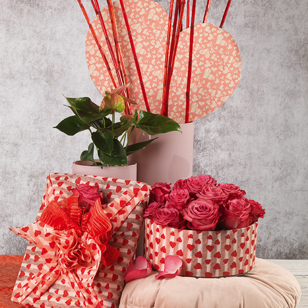 Packaging esempio 3