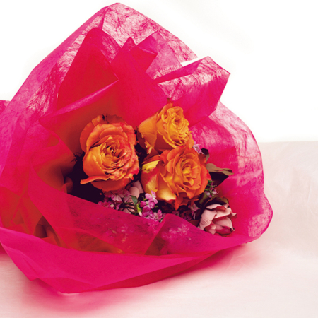 Non-woven fabric rolls