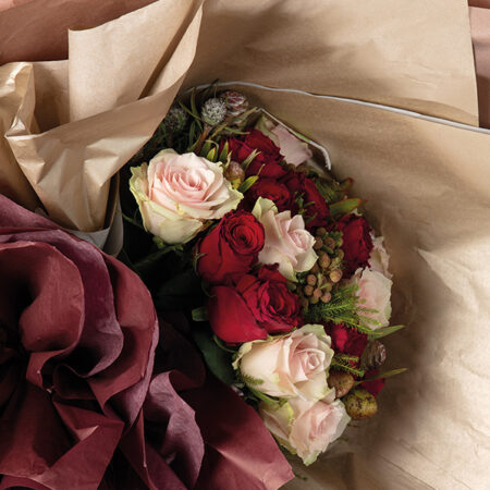 VELINA FONDO PIENO WR