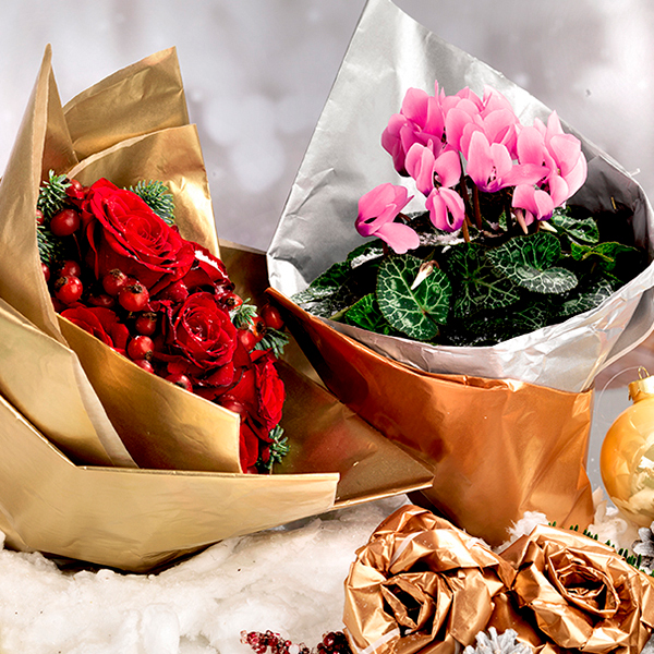 ICE PAPER FONDO PIENO LUX