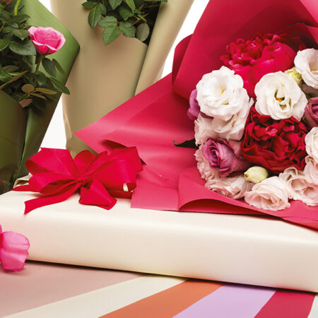 ELEGANCE FONDO PIENO ELITE