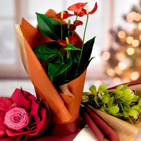 FONDO PIENO PE PAPER