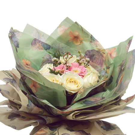 CARAVAGGIO VELINA WR