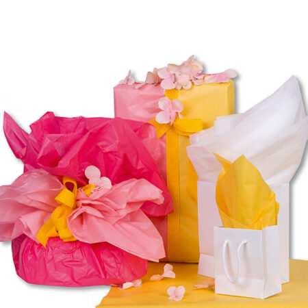 FOGLI VELINA FONDO PIENO