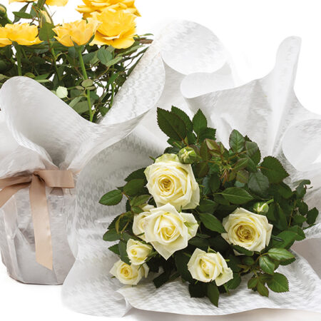 PIED DE POULE PEARLY