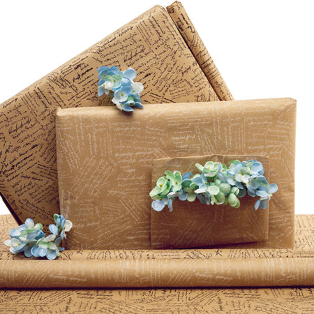 SCRIPT KRAFT