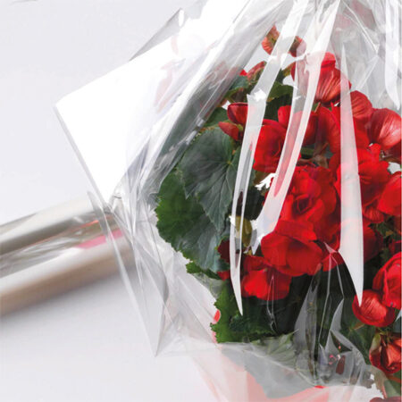 ASSORTIMENTO NATALE