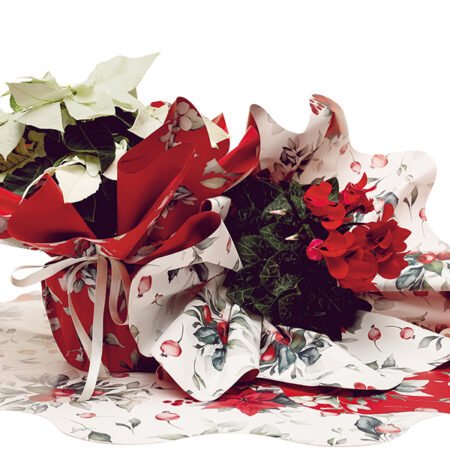 XMAS FLOWER