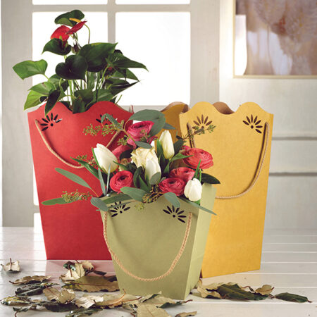 SHOPPER POT DAISY KRAFT COLORS